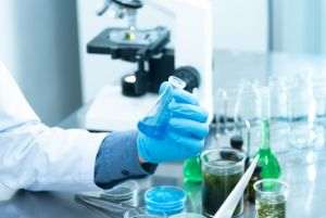 Pandemic agreement adopted at WHO
