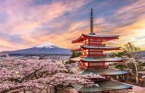 Japonia pregăteşte un pachet de sprijin pentru a contracara taxele vamale americane