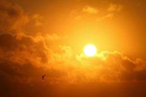 EAU: Record absolut de temperatură pentru luna mai