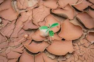 Experţii avertizează UE să nu îşi relaxeze noul obiectiv climatic