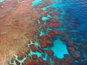 Warning from the past: Great Barrier Reef cannot survive climate stress and pollution