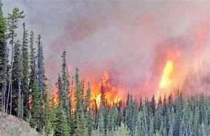  Fumul incendiilor masive din Canada ajunge până în Europa şi Statele Unite