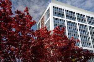 Ipsos îşi mută sediul în Business Garden Bucharest 