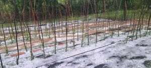 Grindina a făcut prăpăd într-o zonă care ar fi putut fi protejată de sistemul oprit de Ministerul Agriculturii