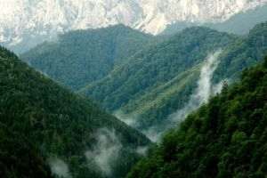 Fundaţia Conservation Carpathia dezminte acuzaţiile privind implicarea în dezastrul de la Salina Praid