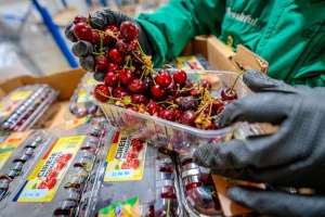 Freshful by eMAG: creştere de aproape 40% a cererii pentru fructe şi legume eco