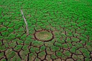 WHO, pan-European commission to combat the effects of climate change on health