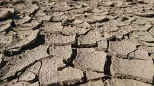 OECD: Drought-affected area doubled in last century