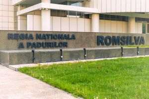 Precizări ale Romsilva în urma raportului de audit al Curţii de Conturi