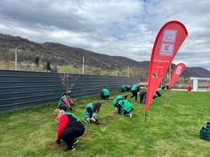 Kaufland continuă plantarea de mini-păduri urbane în România
