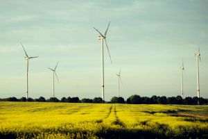 Eurowind Energy şi Vestas vor instala 23 de turbine eoliene în România până în 2027
