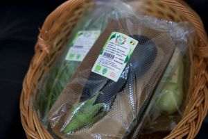 Carrefour România lansează prima cooperativă bio din programul Grădina Noastră