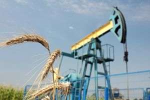OMV Petrom a făcut o nouă descoperire de gaze naturale în Spineni, lângă Craiova