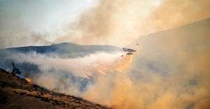 Heatwave claims lives, causes devastating fires and affects nuclear reactors