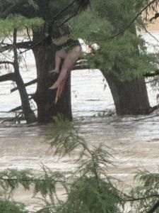 Viituri devastatoare în Texas: 27 de morţi confirmaţi, 25 de fete încă dispărute dintr-o tabără de vară