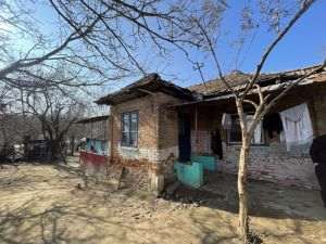 World Vision: 4 din 10 familii din mediul rural se împrumută lunar pentru alimente