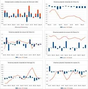 Macro Newsletter 11 Iulie 2025