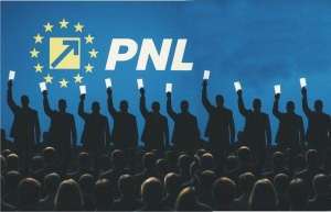 Congresul extraordinar al PNL pentru alegerea noii conduceri a început