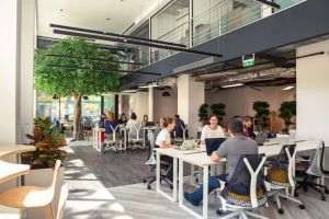 Impact Hub Bucharest: Coworkingul devine motor de succes profesional