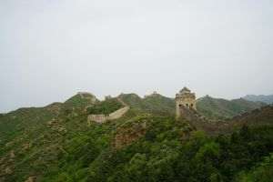 „Zidul Verde” al Chinei provoacă valuri de alergii