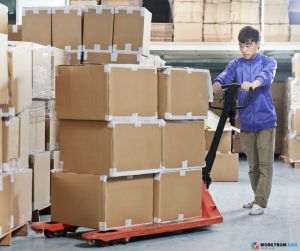 WORK FROM ASIA : România riscă sancţiuni din cauza lucrătorilor non-UE plecaţi ilegal în UE