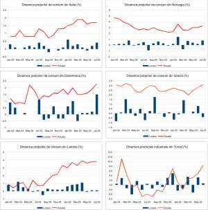 Macro Newsletter 13 August 2025