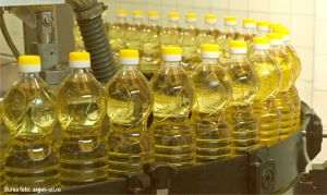 Infinity vrea să vândă Argus Constanţa şi Comcereal Tulcea