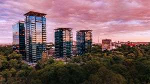One United Properties înregistrează o cifră de afaceri consolidată de 813,2 milioane de lei şi un profit brut de 299,7 milioane de lei în S1 2025
