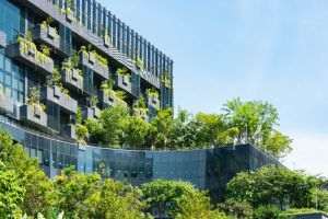 Decarbonizarea clădirilor - dincolo de tehnologie, către impact real 