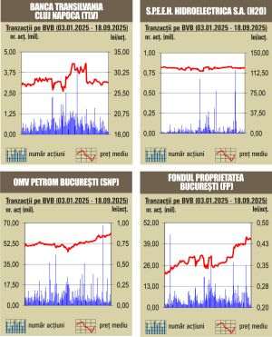 Tranzacţii de numai 35 milioane lei, cu mult sub media zilnică a anului