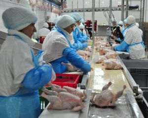 UE redeschide piaţa pentru carnea de pui din Brazilia, după epidemia de gripă aviară din mai