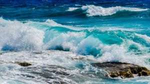 Oceanul, în colaps tăcut - probleme economice majore