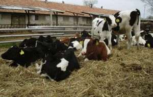 TradeVille: Agroserv Măriuţa dă semne de revenire