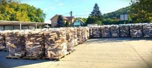  Romsilva oferă populaţiei, în acest an, aproximativ 2 milioane de metri cubi de lemn pentru foc