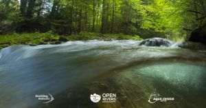 Rewilding România trece în etapa a doua a iniţiativei de restaurare a râurilor