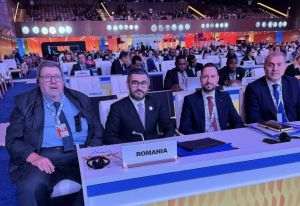 IMM România, prezentă la Summit-ul Mondial pentru Dezvoltare Socială de la Doha