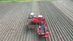 Fermierii români adoptă soluţii biologice pentru o productivitate mai mare şi o cultură de cartofi mai rezilientă