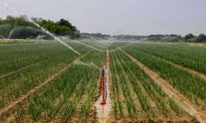 Studiu MKOR şi ALCEDO: 1 din 5 fermieri au irigaţii, iar jumătate plănuiesc investiţii până în 2028