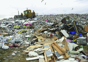 Comisia Europeană deschide procedura de infringement împotriva României pentru problemele ecologice 