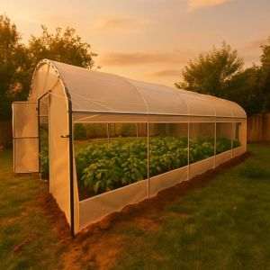 Bacas Farm: 6 din 10 tineri cultivă legume şi fructe exotice în solarii