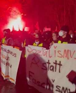 AfD a lansat o nouă organizaţie de tineret în Germania pe fondul protestelor violente