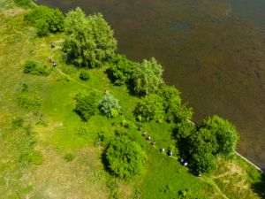 Societatea civilă le-a cerut candidaţilor la Primăria Capitalei asumarea a nouă priorităţi esenţiale pentru un Bucureşti cu un mediu sănătos