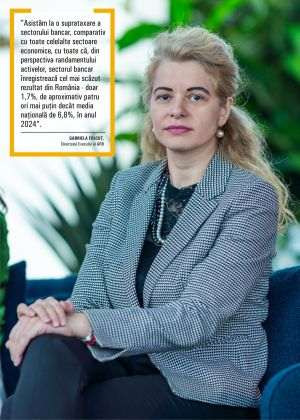 Numărul băncilor de la noi a scăzut cu 30%, de la debutul crizei financiare; Cum va continua restructurarea sectorului bancar