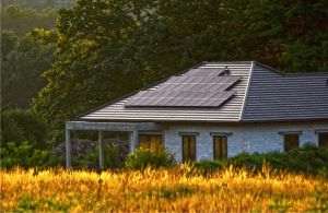 Proiect de OUG: Prosumatorii vor putea partaja surplusul cu alţi consumatori 