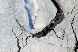 Sursa foto: https://www.science.org/