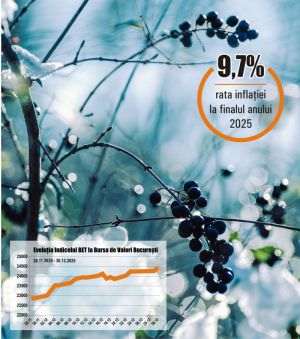 Guvernare la limita avariei