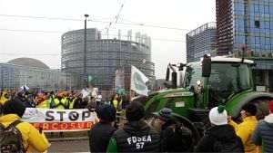 European farmers protest: EU agriculture sacrificed by Mercosur deal