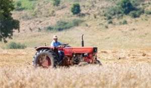 Fermierii vor elevi în practică, dar nu ştiu ce paşi să facă