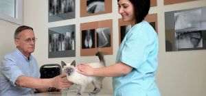 Sursa foto: PartnerVet