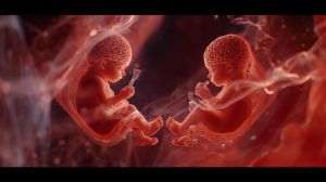 Study: Differences between girls' and boys' brains emerge in utero